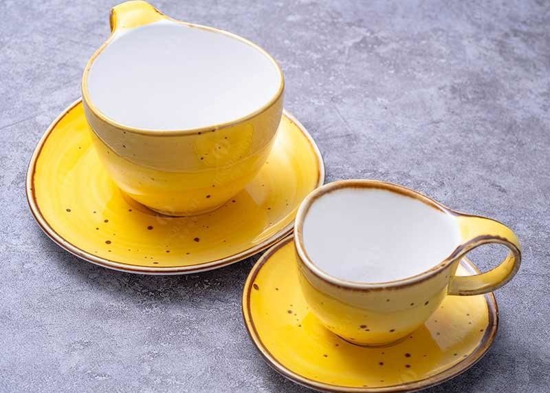 Afternoon Tea 90cc Ceramic Mug Cup And Saucers Hand Painted